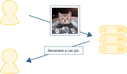 A server receiving, and acknowledging a cat picture