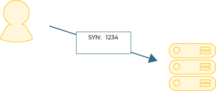 TCP Handshake part 1: The client sends a ransom Sequence Number