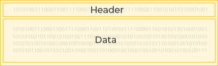 A packet layout, showing the header followed by the data below